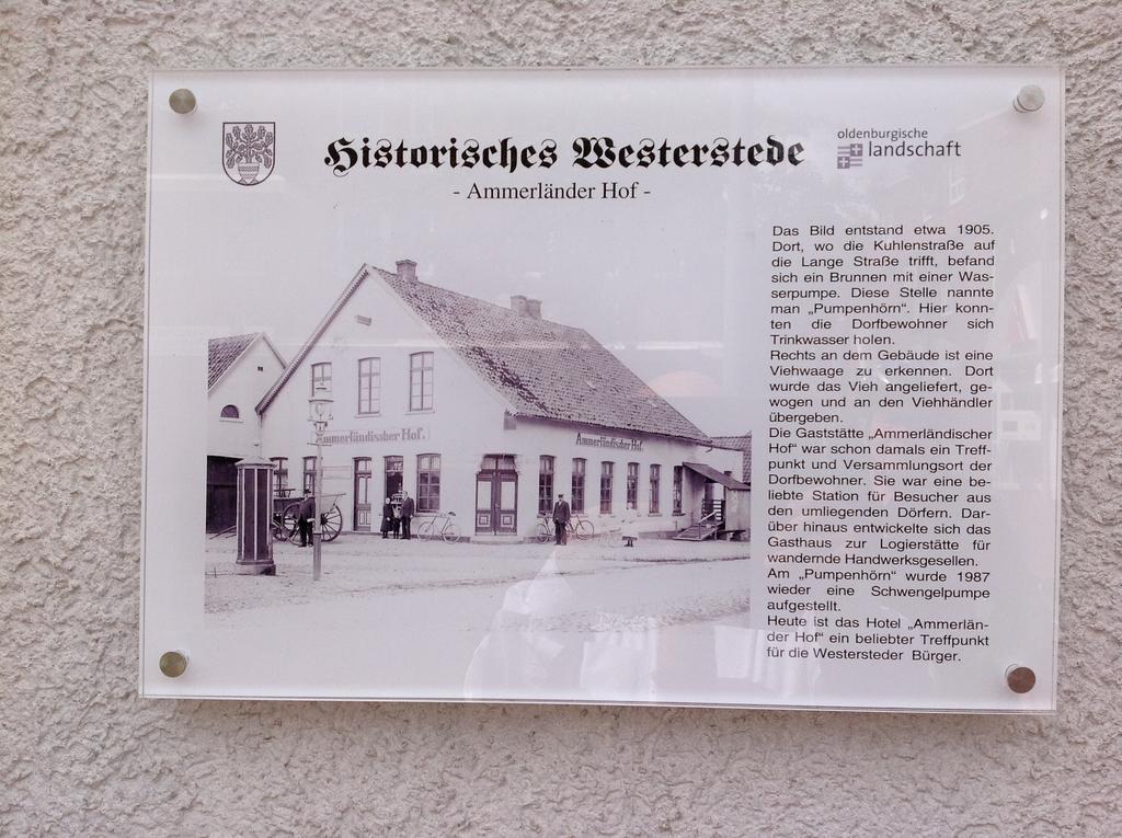 Hotel Ammerlaender Hof Westerstede Luaran gambar